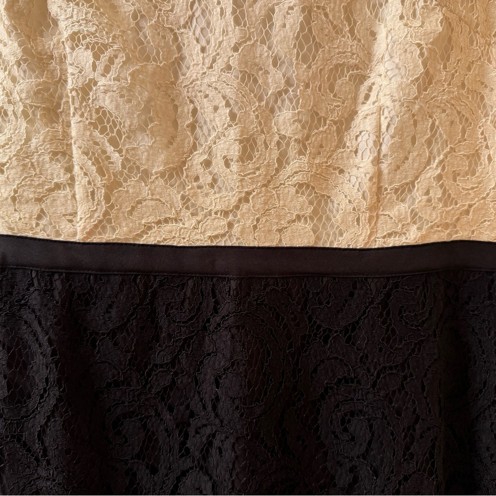 NWT Ann Taylor Elegant Two-Tone Black and Cream Lace Dress - Picture 5 of 16
